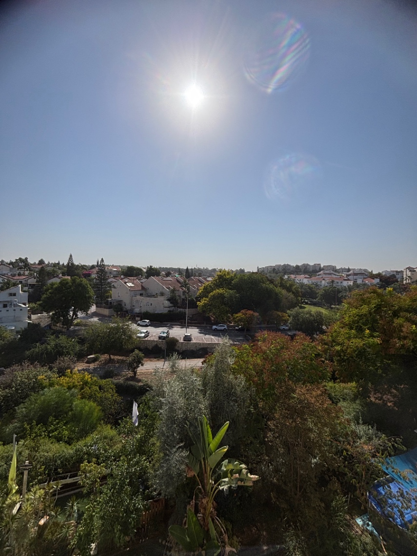 תמונה ממוזערת 10