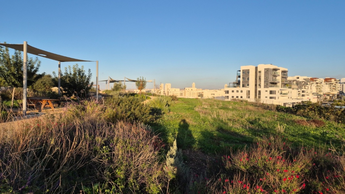 תמונה ממוזערת 2