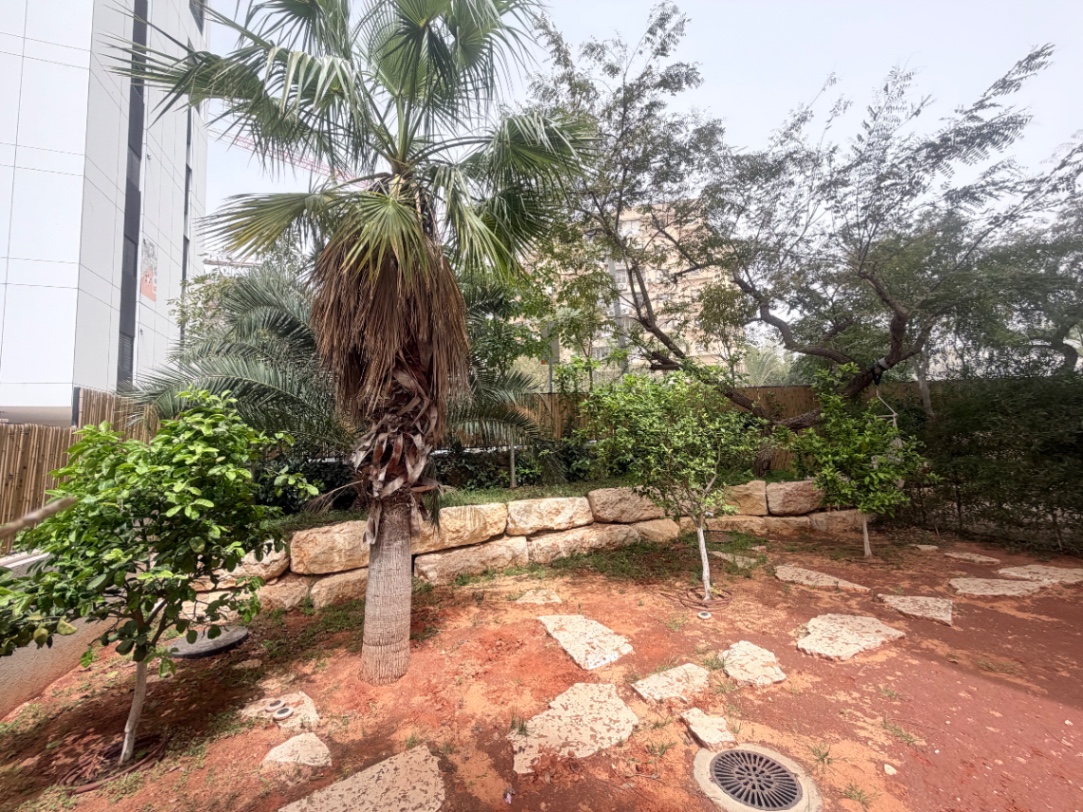 תמונה ממוזערת 2