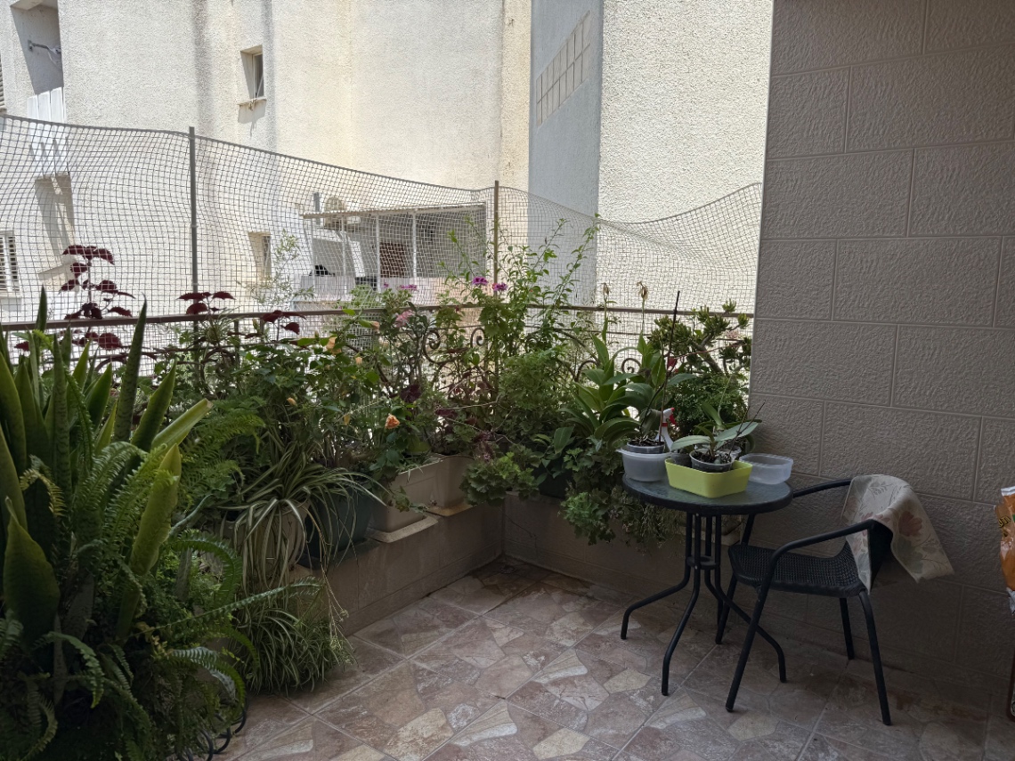 תמונה ממוזערת 8