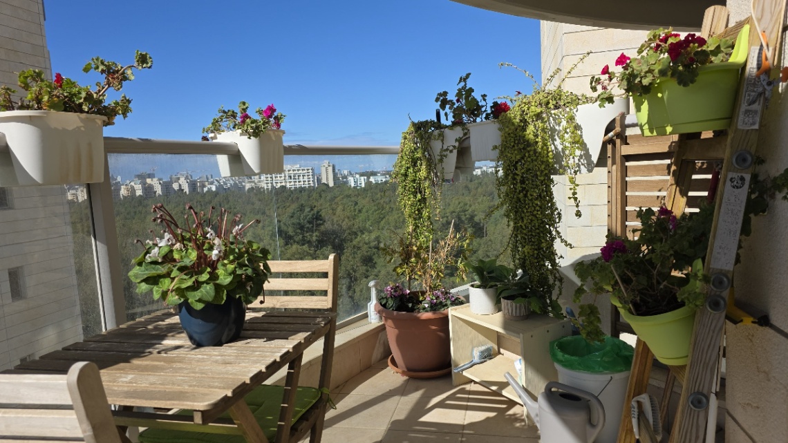 תמונה ממוזערת 3