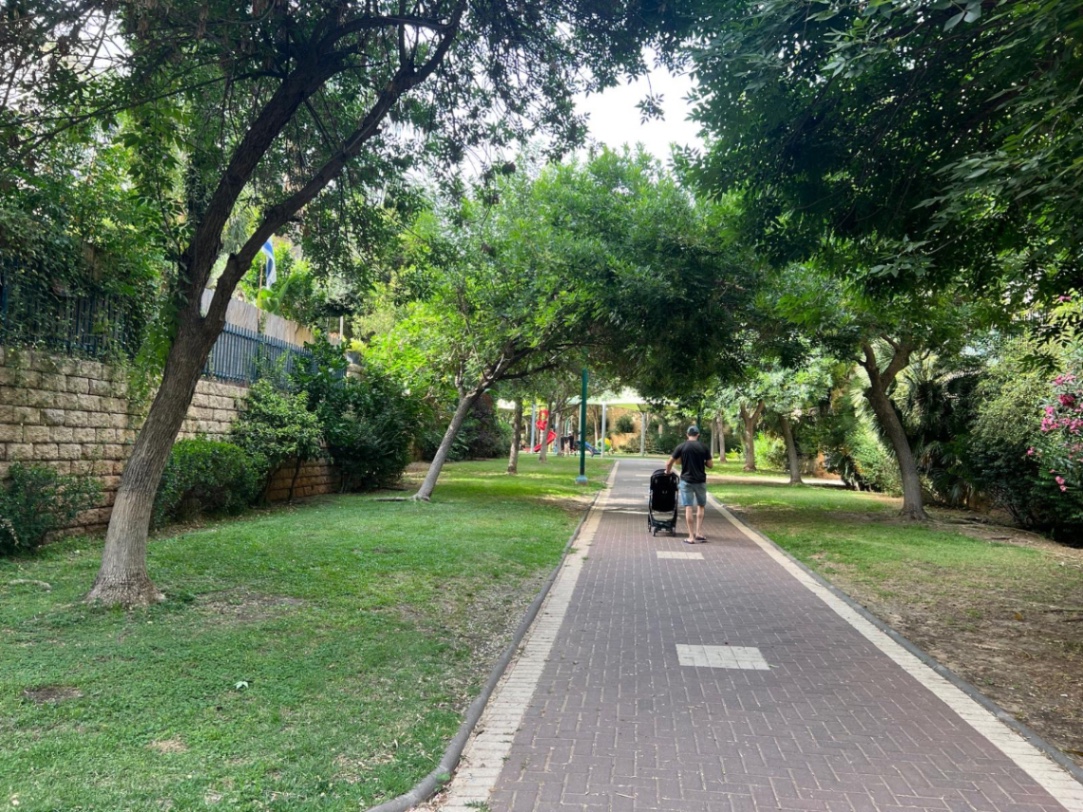 תמונה ממוזערת 7