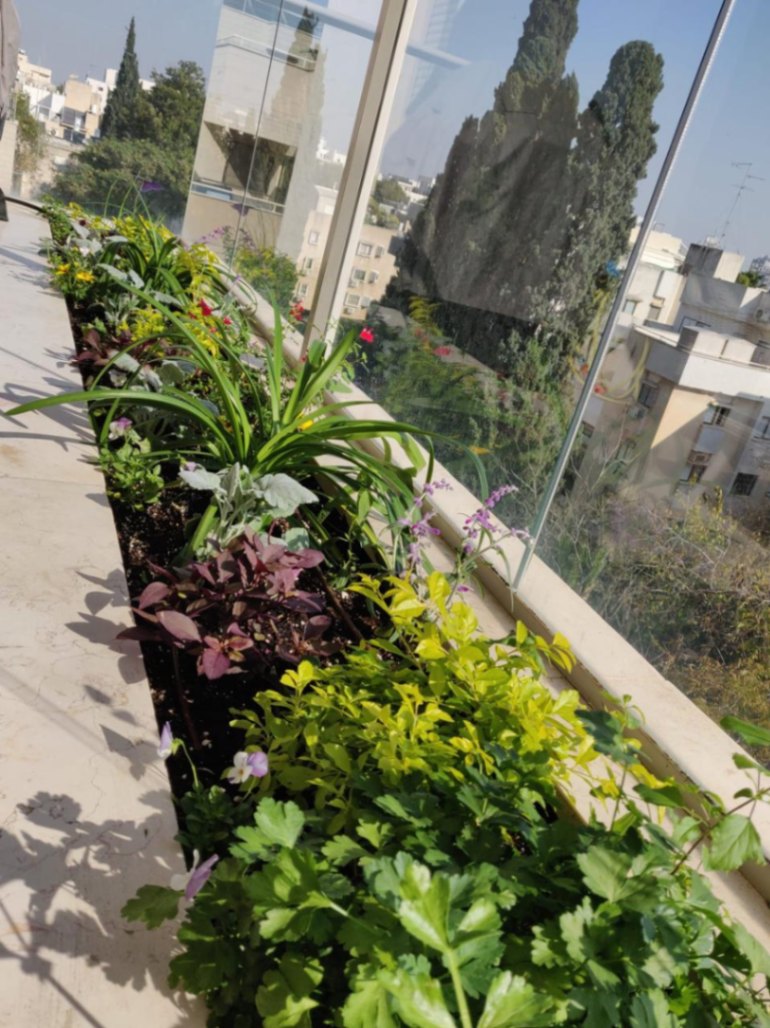 תמונה ממוזערת 5