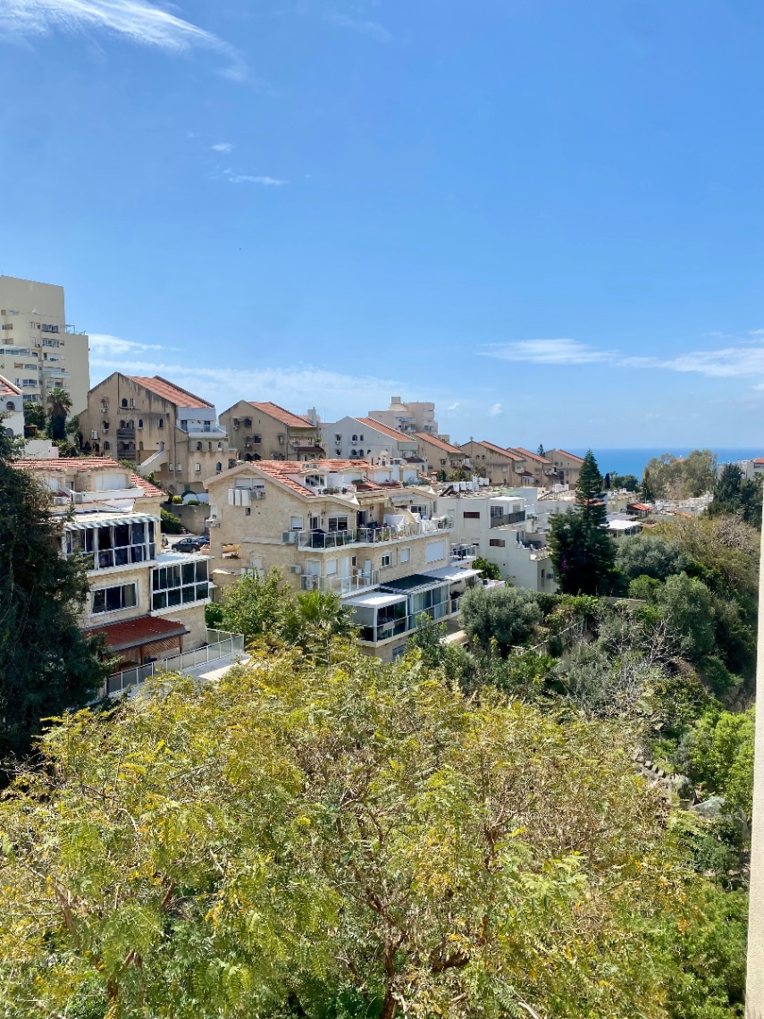 תמונה ממוזערת 5