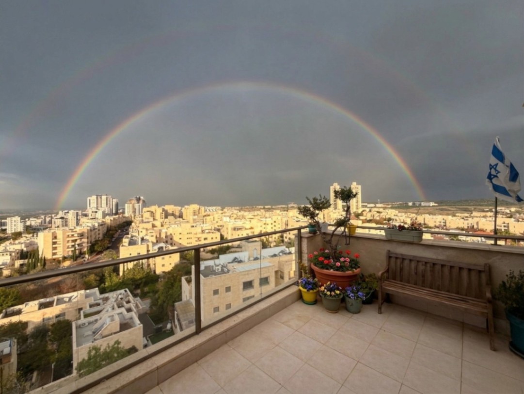 תמונה ממוזערת 8