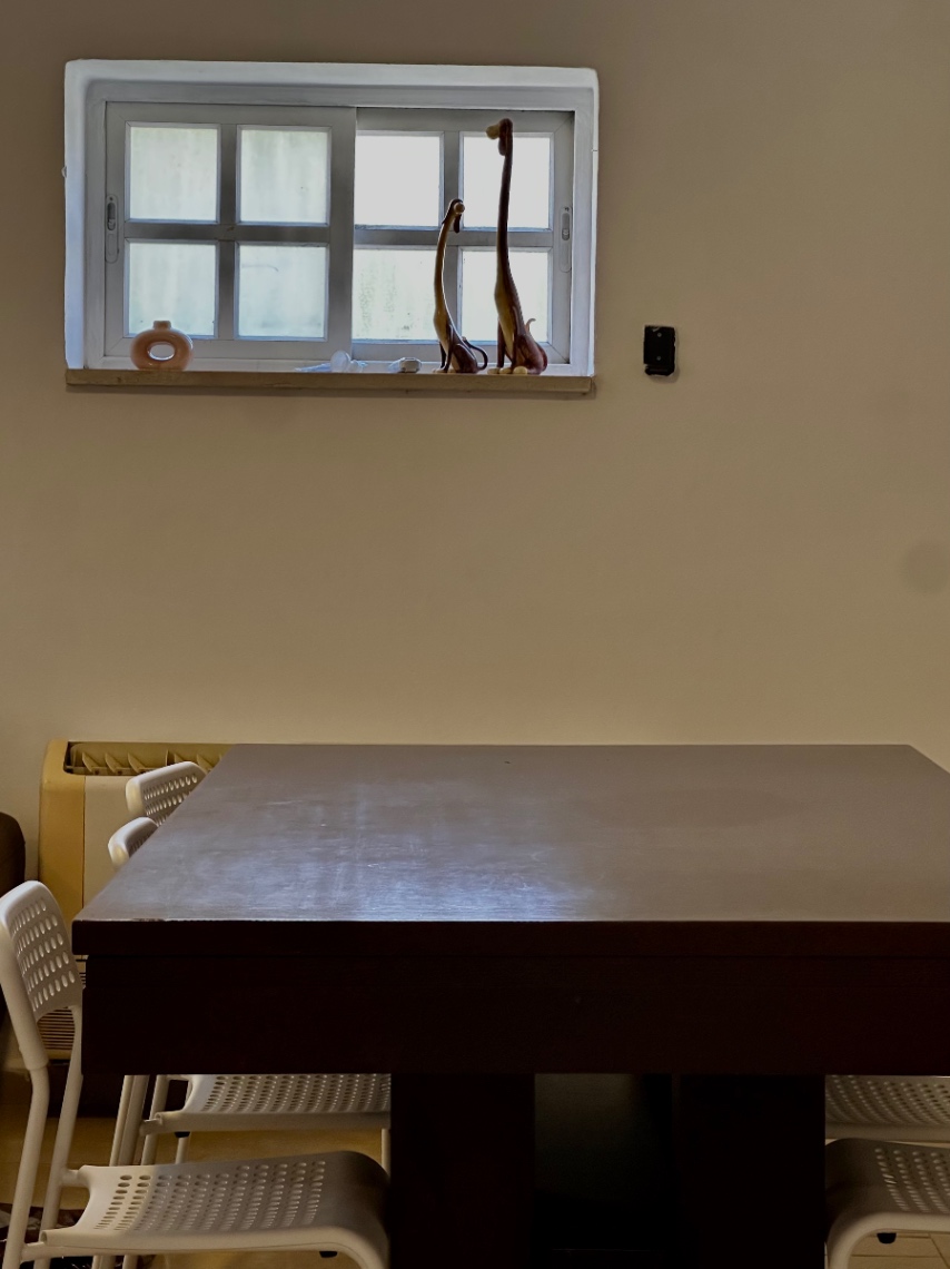 תמונה ממוזערת 7