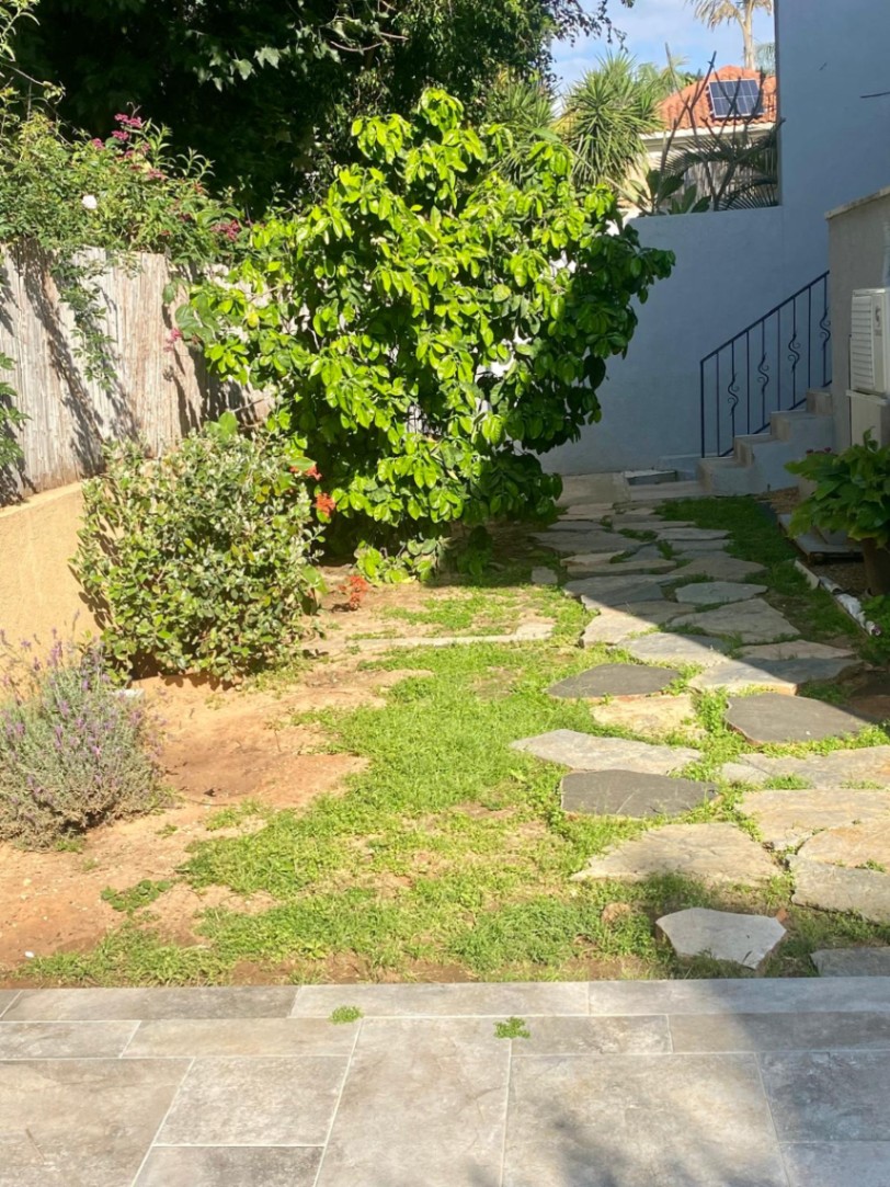 תמונה ממוזערת 4