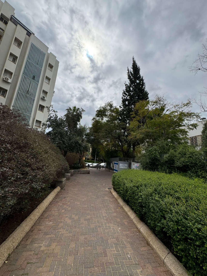 תמונה ממוזערת 8